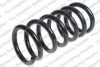 LESJ?FORS 4259252 Coil Spring